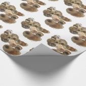 Pekingese Groep Cadeaupapier (Hoek)