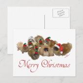 Pekingese Groep Kerstmis Feestdagenkaart (Voorkant / Achterkant)