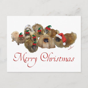 Pekingese Groep Kerstmis Feestdagenkaart