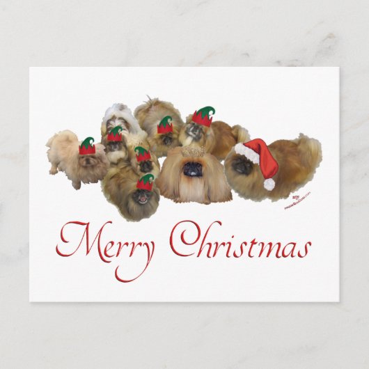Pekingese Groep Kerstmis Feestdagenkaart (Voorkant)
