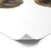 Pekingese Groep Poster (Hoek)