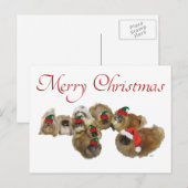 Pekingese Groep Viert Kerstmis Feestdagenkaart (Voorkant / Achterkant)