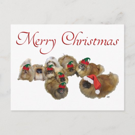 Pekingese Groep Viert Kerstmis Feestdagenkaart (Voorkant)