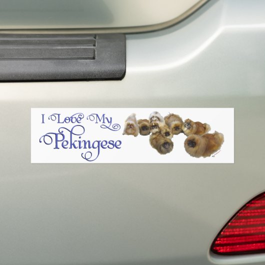 Pekingese Group Bumpersticker (Op auto)
