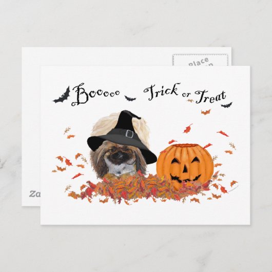 Pekingese Halloween Briefkaart (Voorkant / Achterkant)