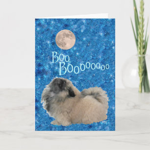 Pekingese Halloween Kaart