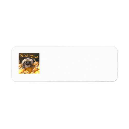 Pekingese Halloween Retouradreslabels Etiket (Voorkant)