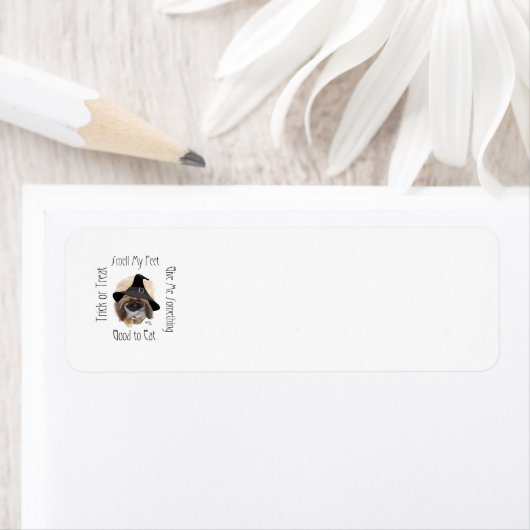 Pekingese Halloween Return Address Labels (Insitu)