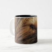 Pekingese hond, dichtbij tweekleurige koffiemok (Voorkant links)