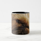 Pekingese hond, dichtbij tweekleurige koffiemok (Center)