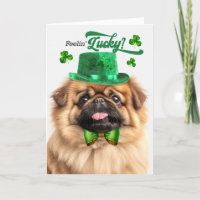 Pekingese Hond Gevoel 'Lucky St Patrick's Day