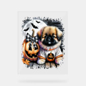 Pekingese hond Halloween Square Acryl Bord (Voorkant)