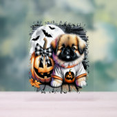Pekingese hond Halloween Square Acryl Bord (Neutraal)