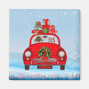 Pekingese hond in auto met kerstman magneet