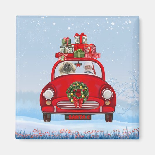 Pekingese hond in auto met kerstman magneet (Voorkant)