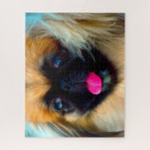 Pekingese hond. legpuzzel (Verticaal)