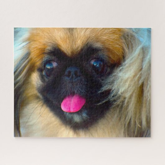 Pekingese hond. legpuzzel (Horizontaal)