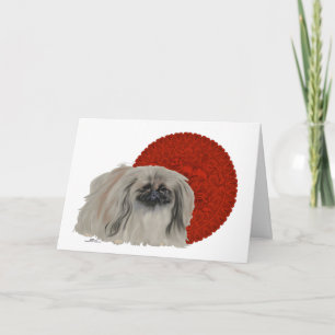 Pekingese Hond Notities