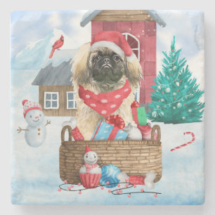 Pekingese hond op sneeuwkerstmis stenen onderzetter