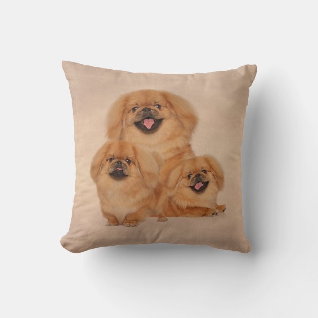 Pekingese honden collage kussen (Voorkant)