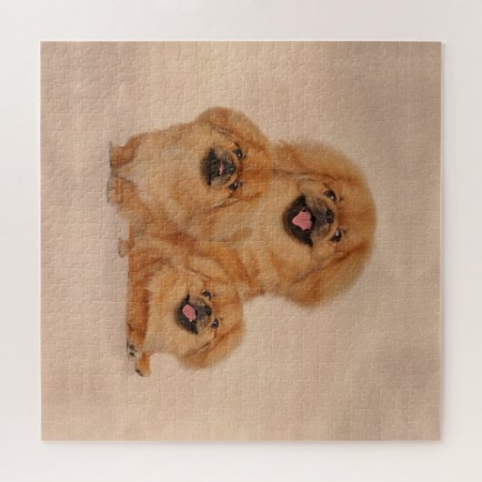 Pekingese honden collage legpuzzel (Horizontaal)