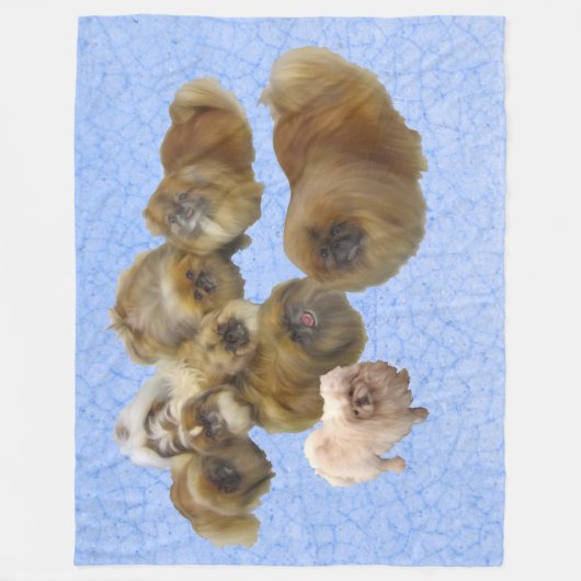Pekingese honden op blauw fleece deken (Voorkant)