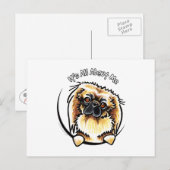 Pekingese IAAM Briefkaart (Voorkant / Achterkant)