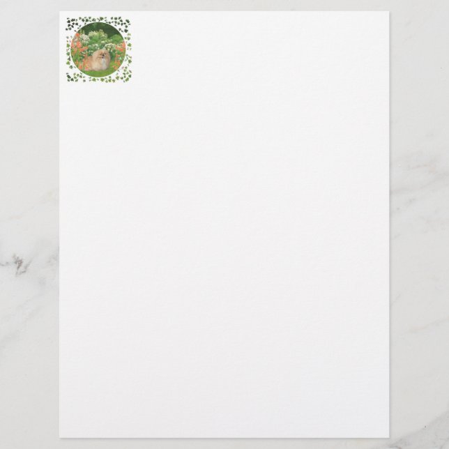 Pekingese in de tuin (Voorkant)