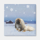 Pekingese in de winter magneet (Voorkant)