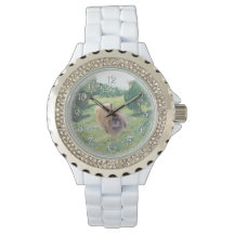 Pekingese in een weide