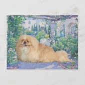 Pekingese in Lavender Briefkaart (Voorkant)