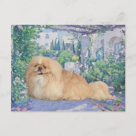 Pekingese in Lavender Briefkaart (Voorkant)