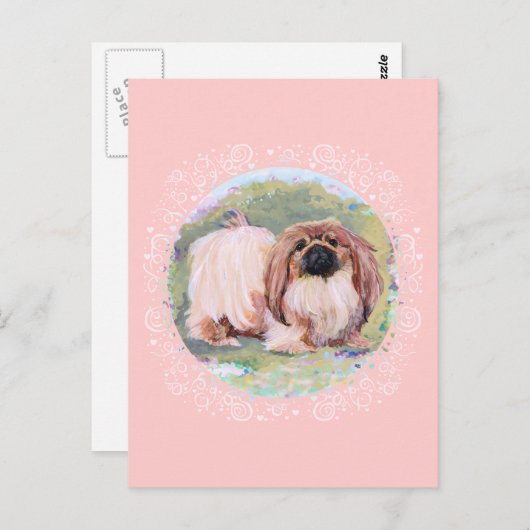 Pekingese  in roze briefkaart (Voorkant / Achterkant)