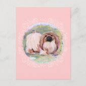 Pekingese  in roze briefkaart (Voorkant)