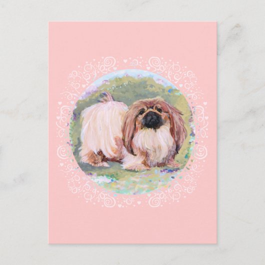 Pekingese  in roze briefkaart (Voorkant)