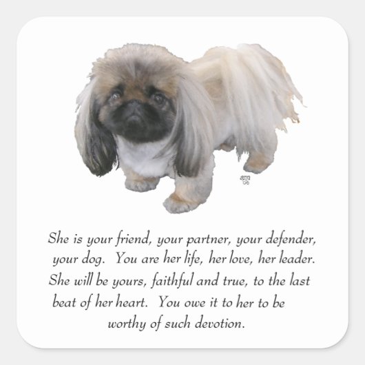 Pekingese Keepomwille - VROUW Vierkante Sticker (Voorkant)