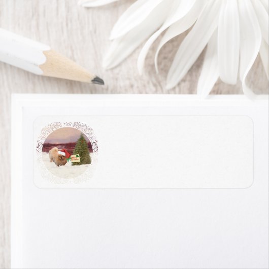 Pekingese kerst etiket (Insitu)