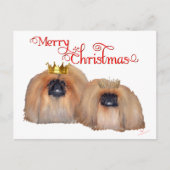 Pekingese kerst feestdagenkaart (Voorkant)