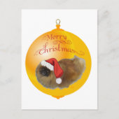 Pekingese kerst feestdagenkaart (Voorkant)