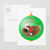 Pekingese Kerst Ornament Feestdagenkaart (Voorkant / Achterkant)