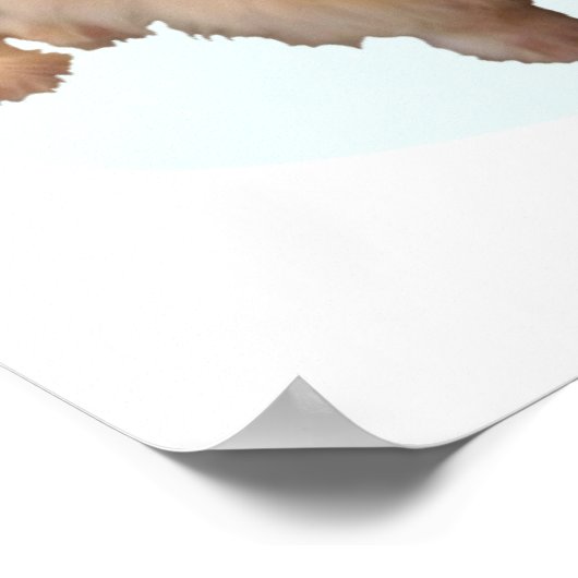 Pekingese kerst poster (Hoek)