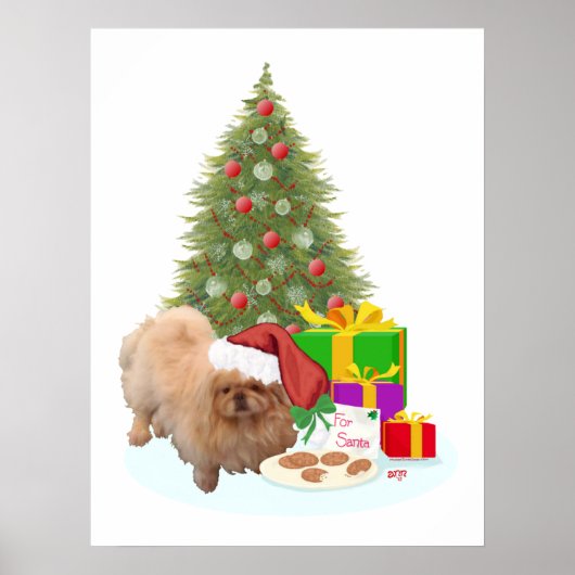Pekingese kerst poster (Voorkant)