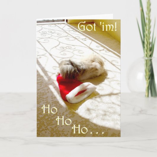 Pekingese Kerstkaart Feestdagen Kaart (Voorkant)