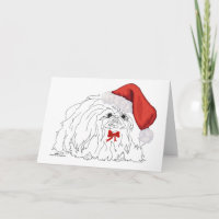 Pekingese Kerstman Schets