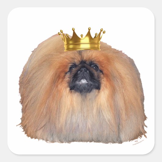 Pekingese King (Aanpassen als je wilt!) Vierkante Sticker (Voorkant)