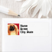 Pekingese kleurenblok etiket (Insitu)