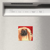 Pekingese kleurenblok magneet (Insitu (Vaatwasser))