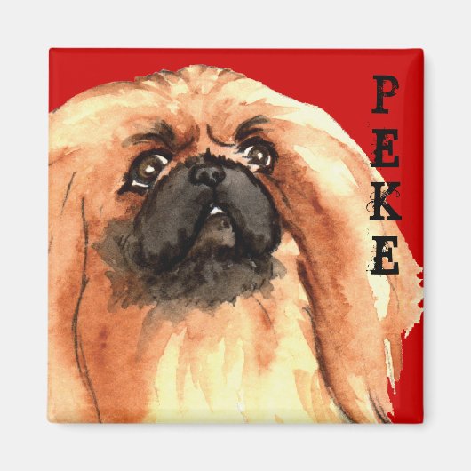 Pekingese kleurenblok magneet (Voorkant)