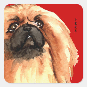 Pekingese kleurenblok vierkante sticker