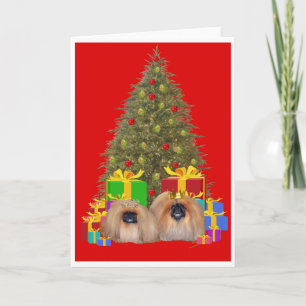 Pekingese Koninklijkheid viert Kerstmis Feestdagen Kaart